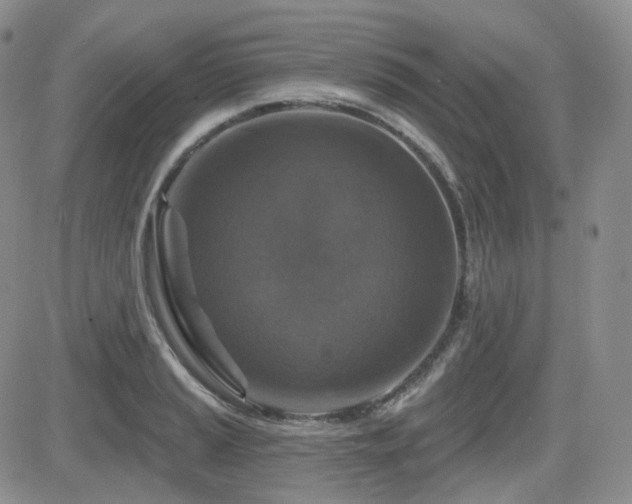 X0000084521037200702231129