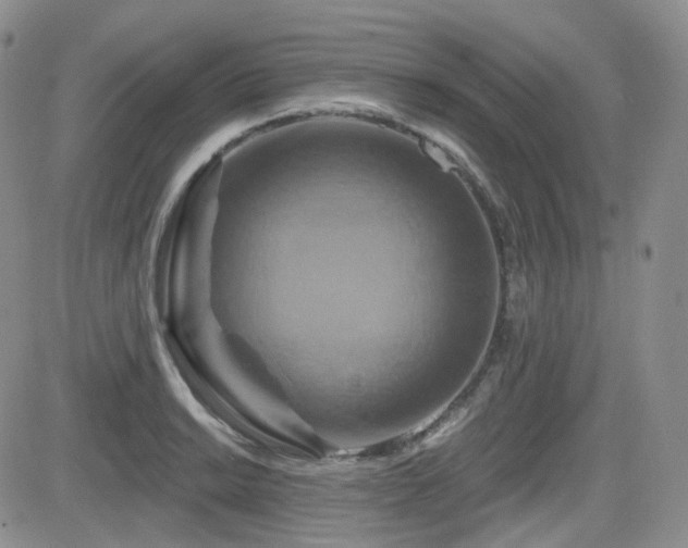 X0000084521038200702231129