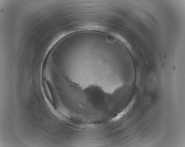 X0000084521039200702231129