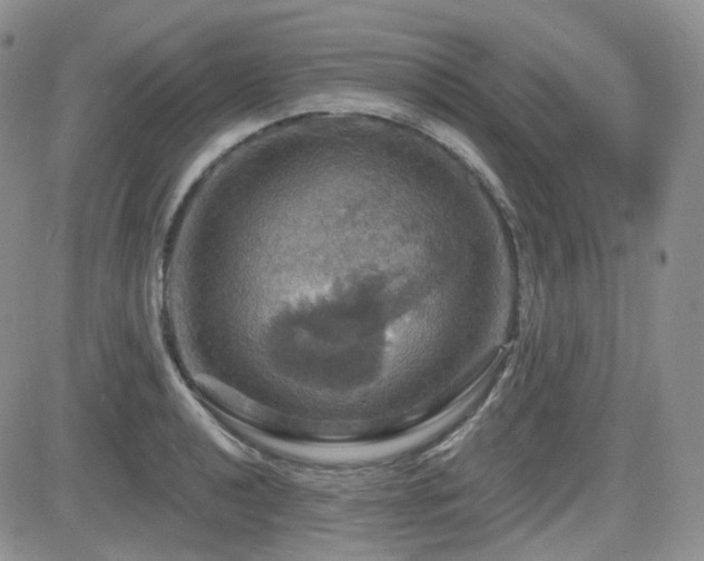 X0000084521040200702231129