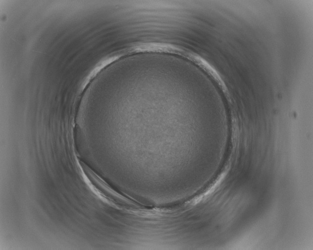 X0000084521041200702231129