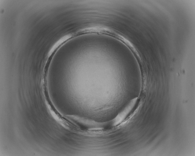 X0000084521042200702231129