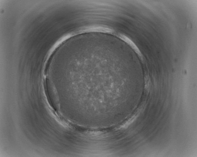 X0000084521043200702231129