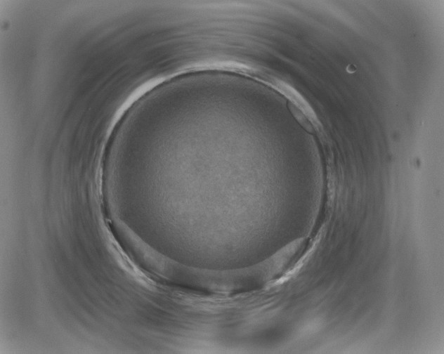 X0000084521044200702231129