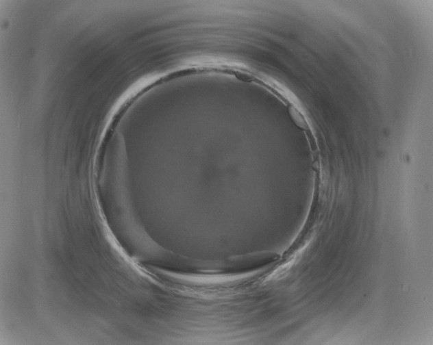 X0000084521045200702231129