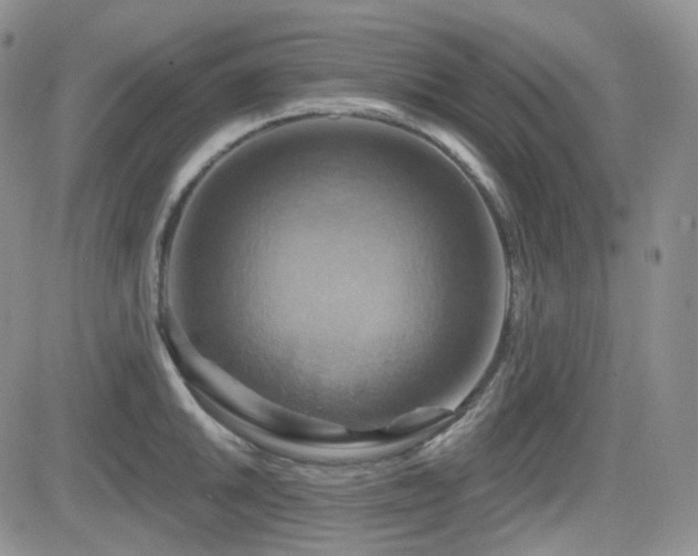 X0000084521046200702231129