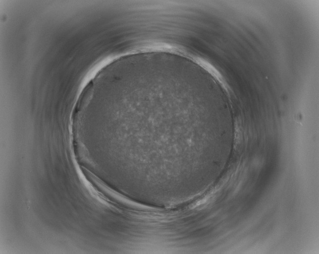 X0000084521047200702231129