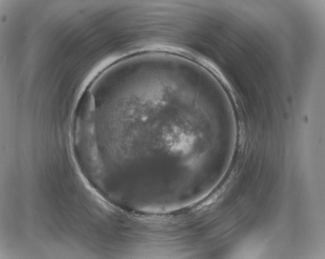 X0000084521048200702231129