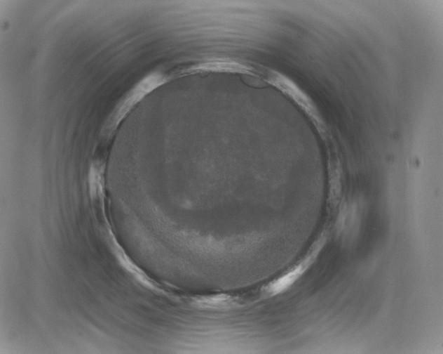 X0000084521049200702231129