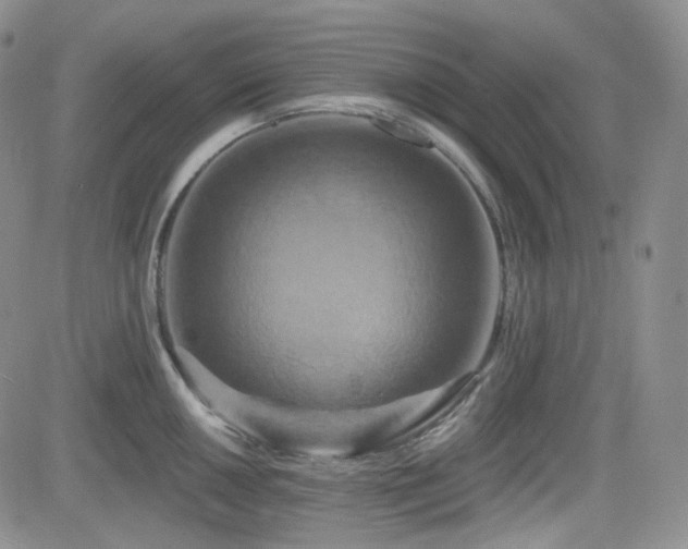 X0000084521050200702231129