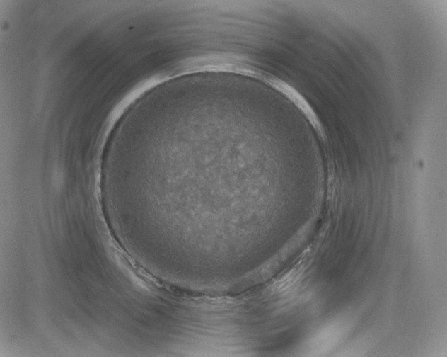 X0000084521051200702231129