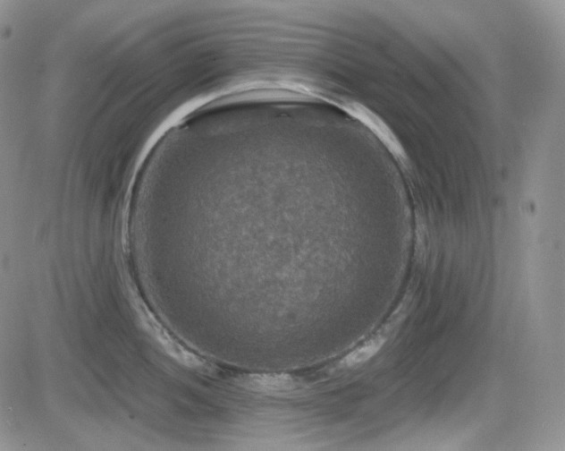 X0000084521052200702231130