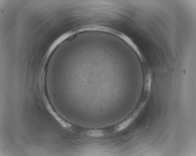 X0000084521053200702231130