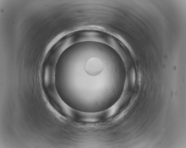 X0000084521054200702231130