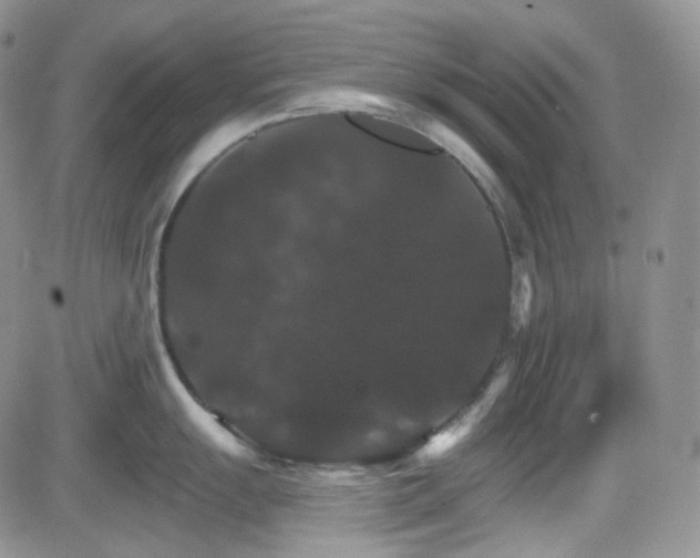 X0000084521055200702231130