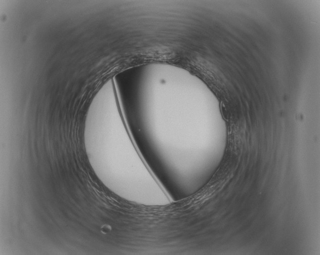 X0000084521058200702231129