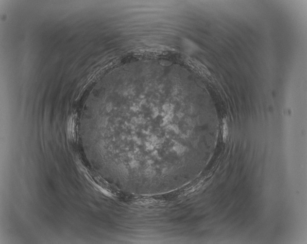 X0000084521059200702231129