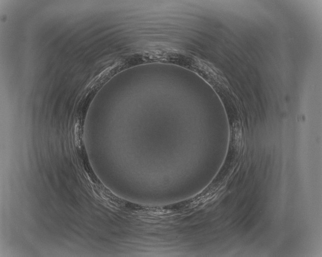 X0000084521060200702231129