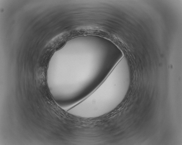 X0000084521062200702231129