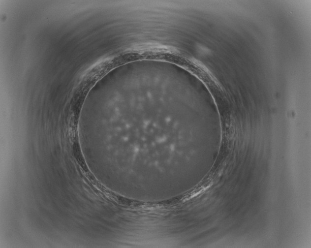 X0000084521063200702231129