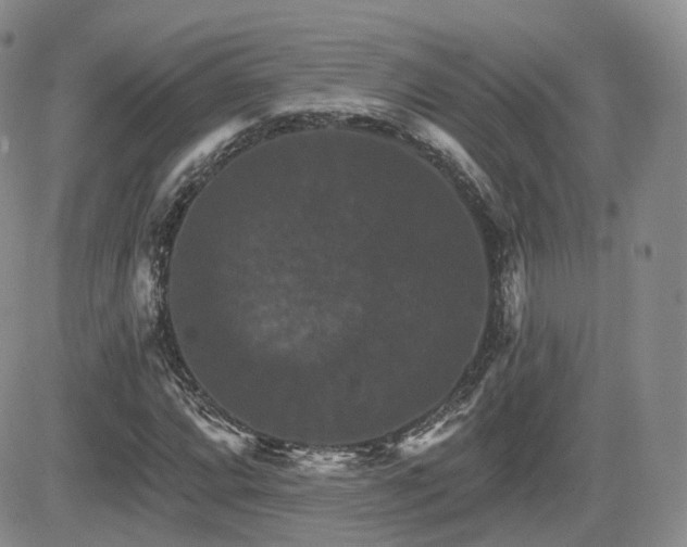 X0000084521064200702231129