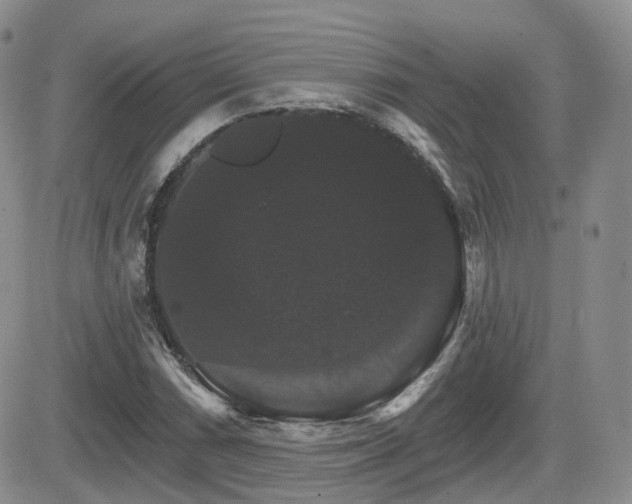 X0000084521066200702231129