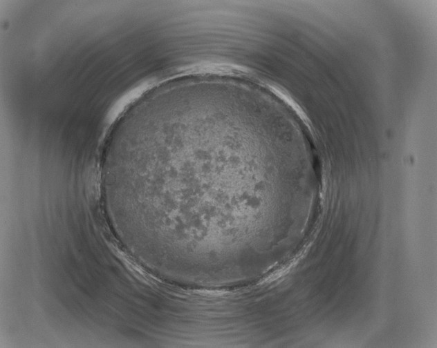 X0000084521067200702231129