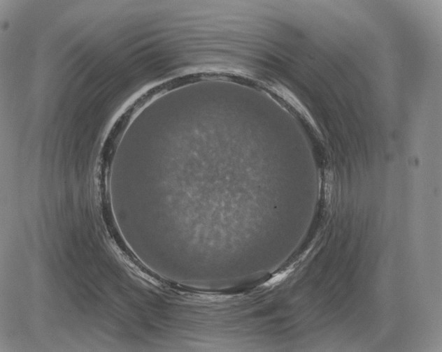 X0000084521068200702231129