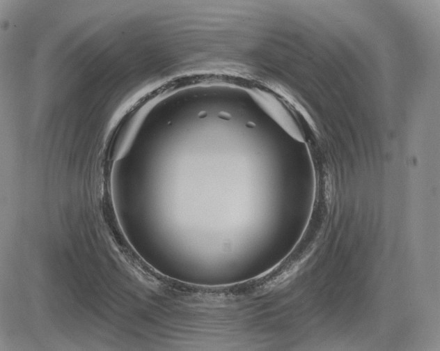 X0000084521069200702231129