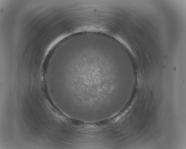 X0000084521070200702231129