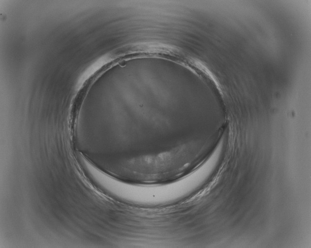 X0000084521071200702231129