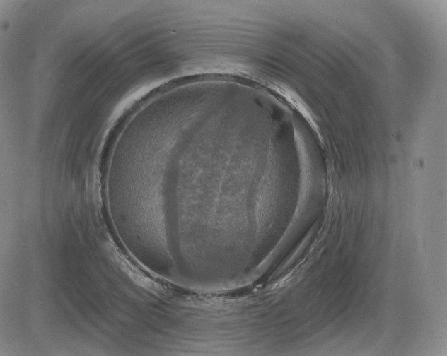 X0000084521072200702231129