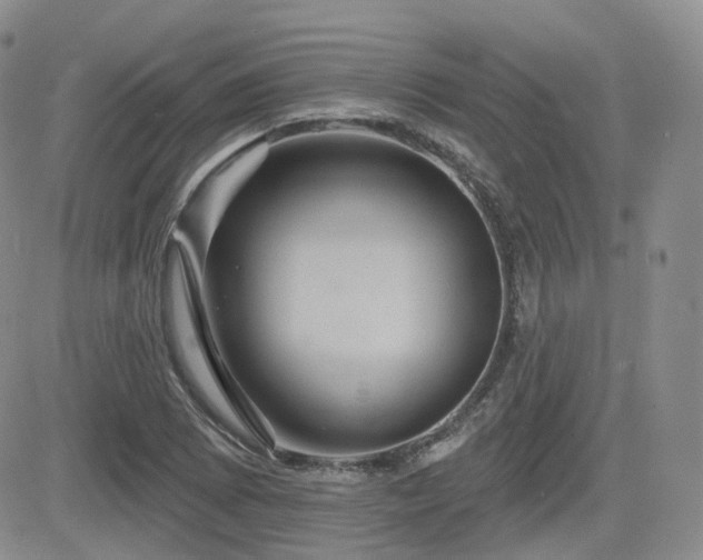 X0000084521073200702231129