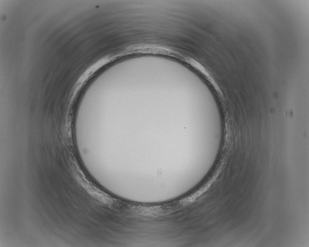 X0000084521074200702231128