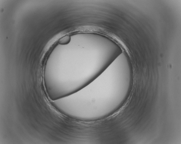 X0000084521075200702231128