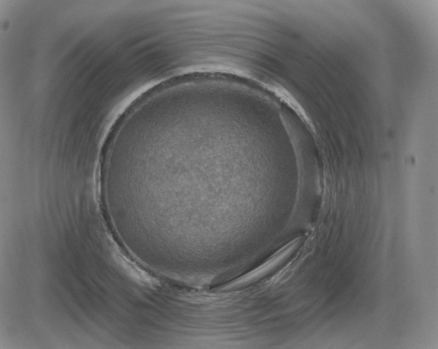 X0000084521076200702231128