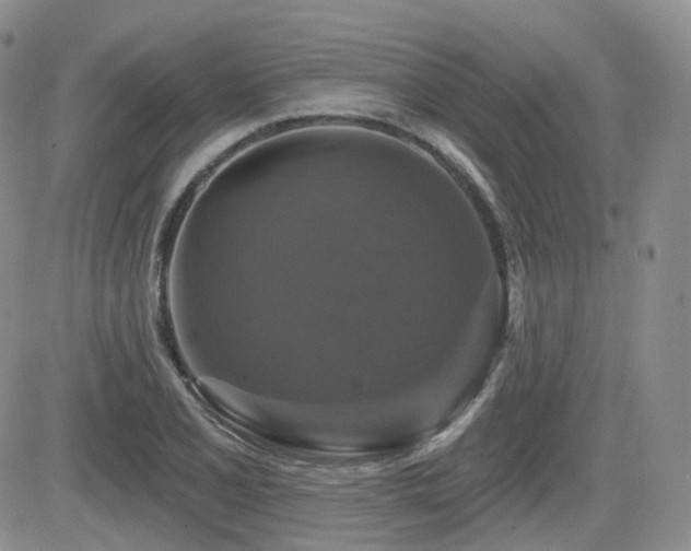 X0000084521077200702231128