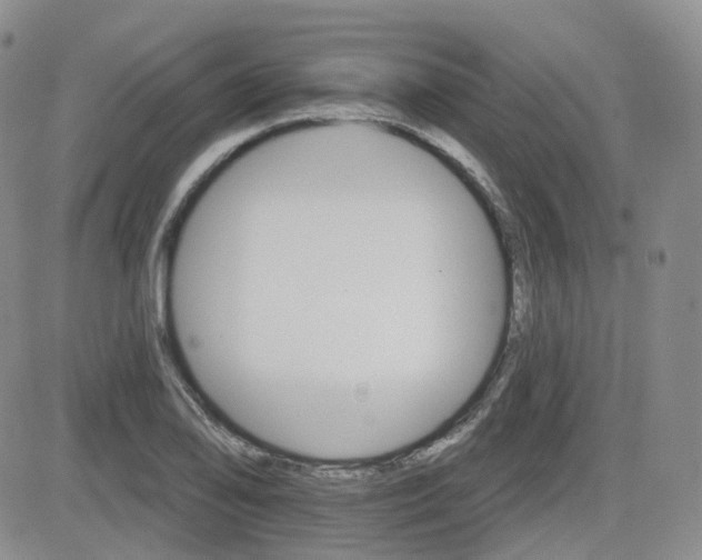 X0000084521078200702231128