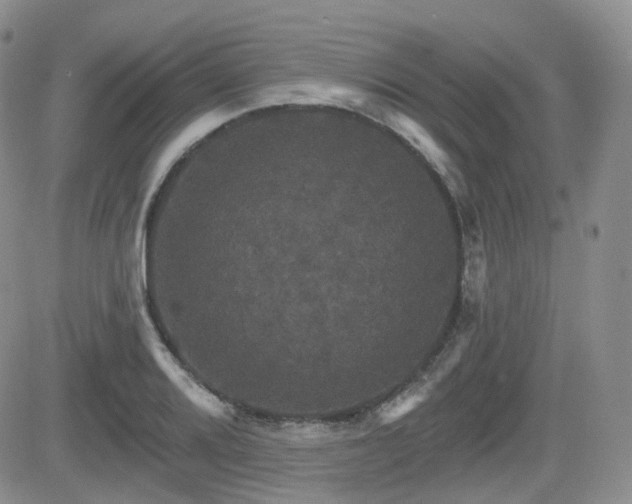 X0000084521080200702231128