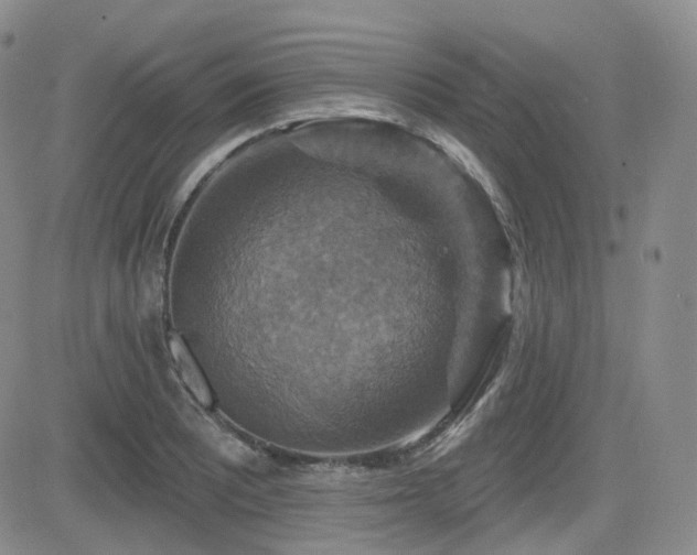 X0000084521081200702231128