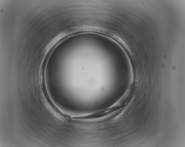 X0000084521082200702231128