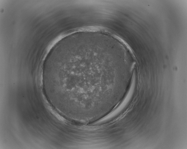 X0000084521083200702231128