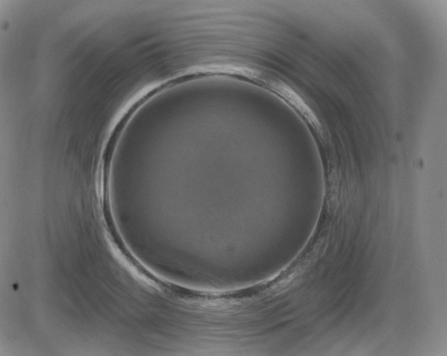 X0000084521084200702231128