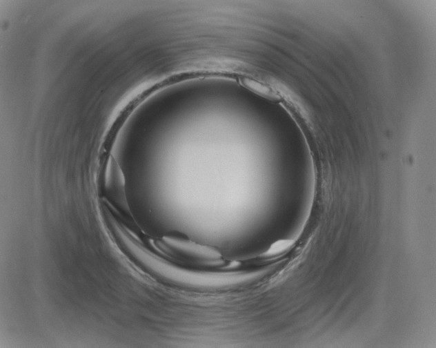 X0000084521085200702231128