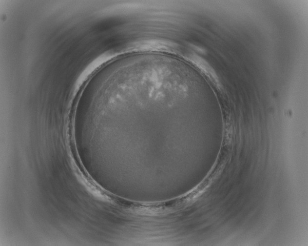 X0000084521086200702231128