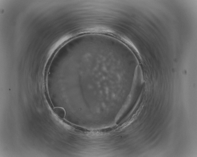 X0000084521087200702231128