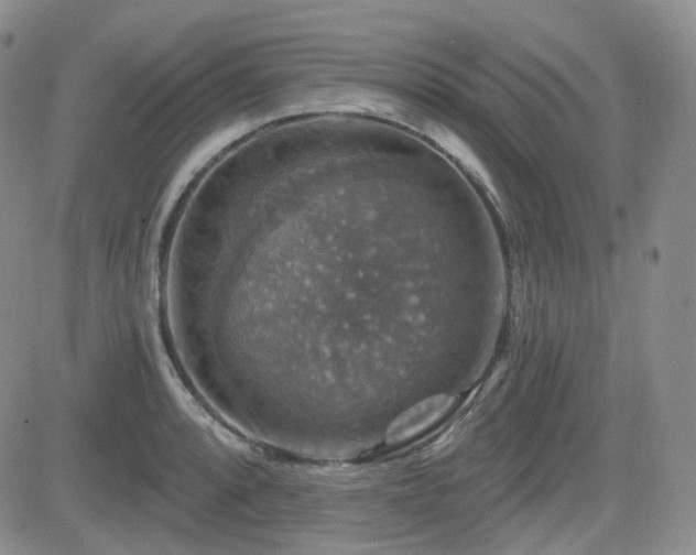 X0000084521088200702231128