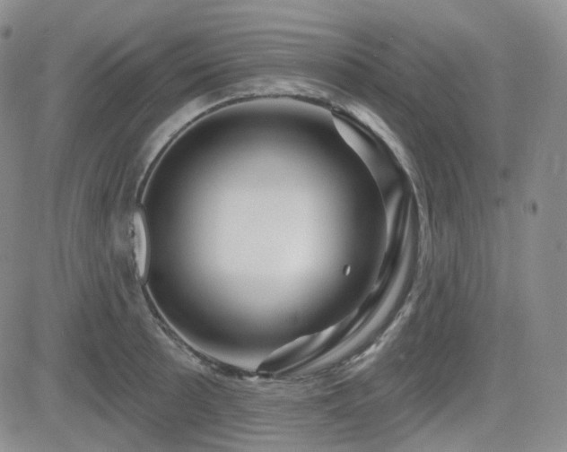 X0000084521089200702231128