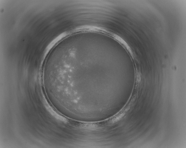 X0000084521090200702231128