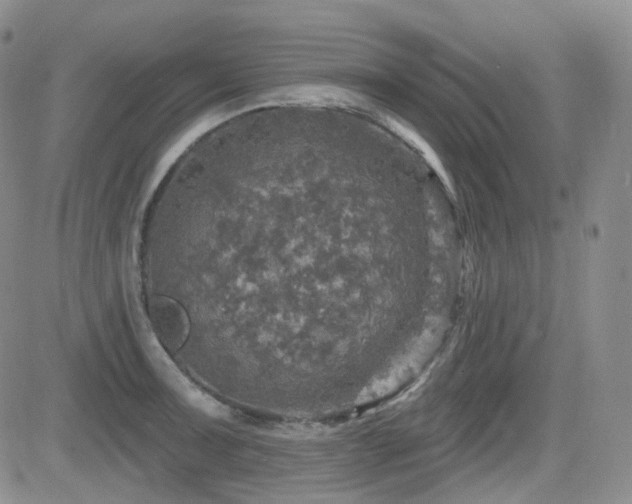 X0000084521091200702231128